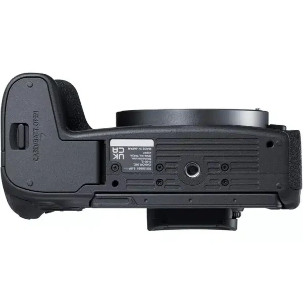 Canon R8 | New